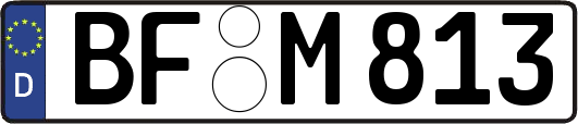 BF-M813