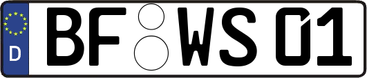 BF-WS01