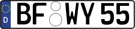 BF-WY55
