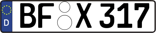 BF-X317