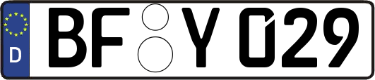 BF-Y029