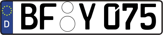 BF-Y075