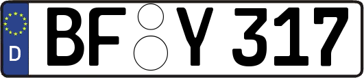 BF-Y317