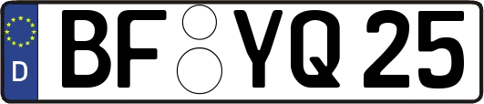 BF-YQ25