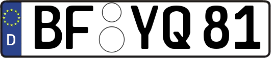 BF-YQ81