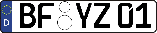 BF-YZ01