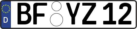 BF-YZ12