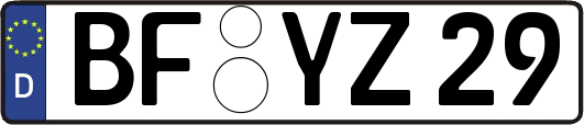 BF-YZ29