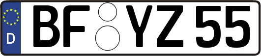 BF-YZ55