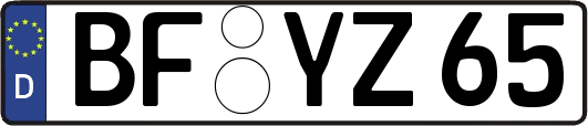 BF-YZ65