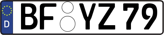 BF-YZ79