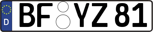 BF-YZ81