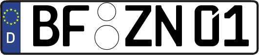 BF-ZN01