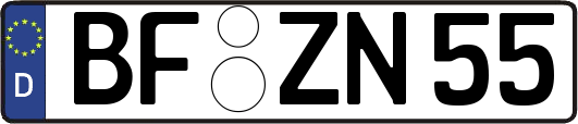 BF-ZN55