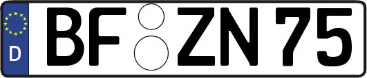 BF-ZN75