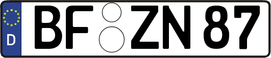 BF-ZN87