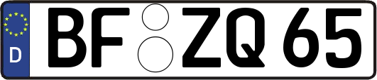 BF-ZQ65
