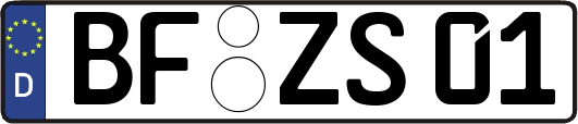BF-ZS01