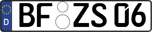 BF-ZS06