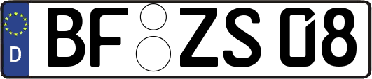 BF-ZS08