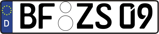 BF-ZS09