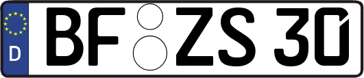 BF-ZS30