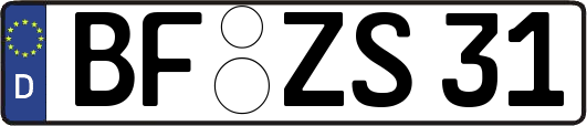 BF-ZS31