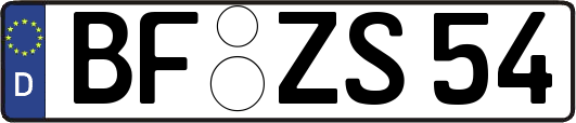 BF-ZS54