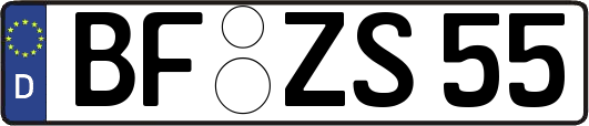 BF-ZS55