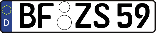BF-ZS59