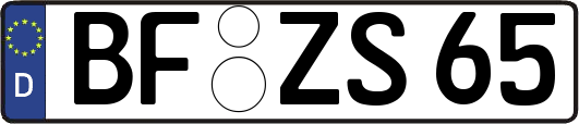 BF-ZS65