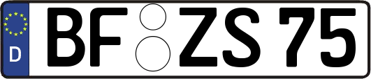 BF-ZS75