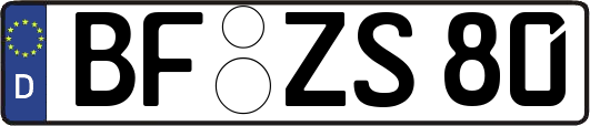 BF-ZS80