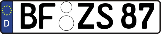 BF-ZS87