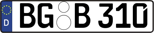 BG-B310