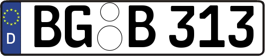 BG-B313