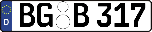 BG-B317