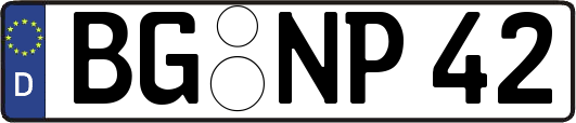 BG-NP42