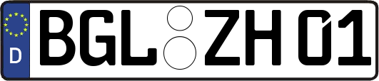 BGL-ZH01