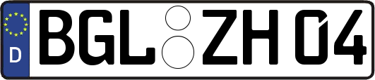 BGL-ZH04