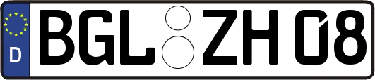 BGL-ZH08