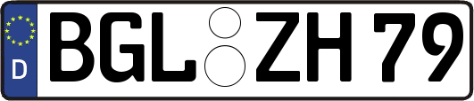 BGL-ZH79