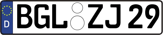 BGL-ZJ29