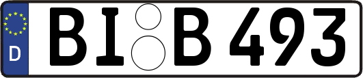 BI-B493