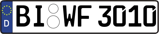 BI-WF3010
