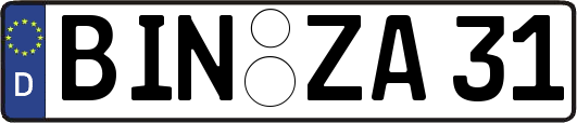 BIN-ZA31