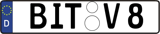 BIT-V8