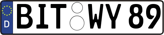 BIT-WY89