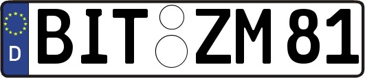 BIT-ZM81