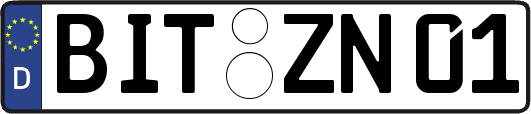 BIT-ZN01